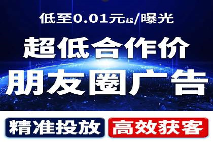 成功案例解析：SEO与SEM协同营销策略